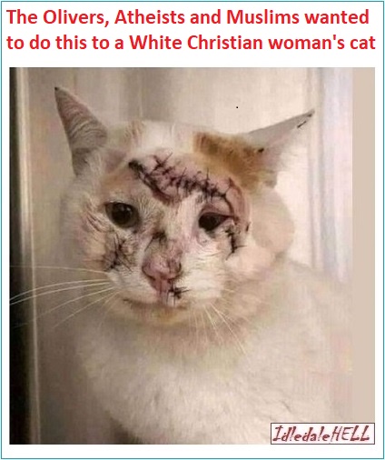 heyward-oliver-muslims-try-to-maul-kill-womans-cat.jpg