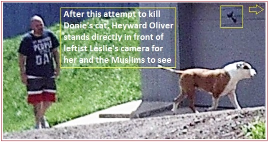 heyward-oliver-tries-to-kill-christians-cat-to-impress-muslims.jpg