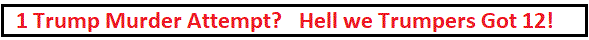 index-targeted-justice-12-murder-attempts.gif
