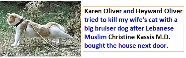 karen-oliver-tries-to-kill-donies-cat.jpg