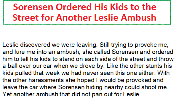 leslie-has-sorensen-put-kids-in-street-to-harass-veteran.gif