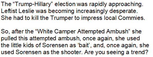leslies-ethnic-slurs-attempted-ambush-of-trumpers1.gif