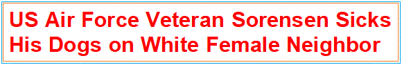 us-air-force-veteran-taylor-sorensen1.gif